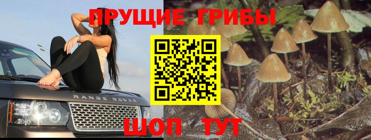 Можга  Псилоцибиновые грибы прущие грибы  Галлюциногенные грибы мухоморы  хочу   Вход с VPN 